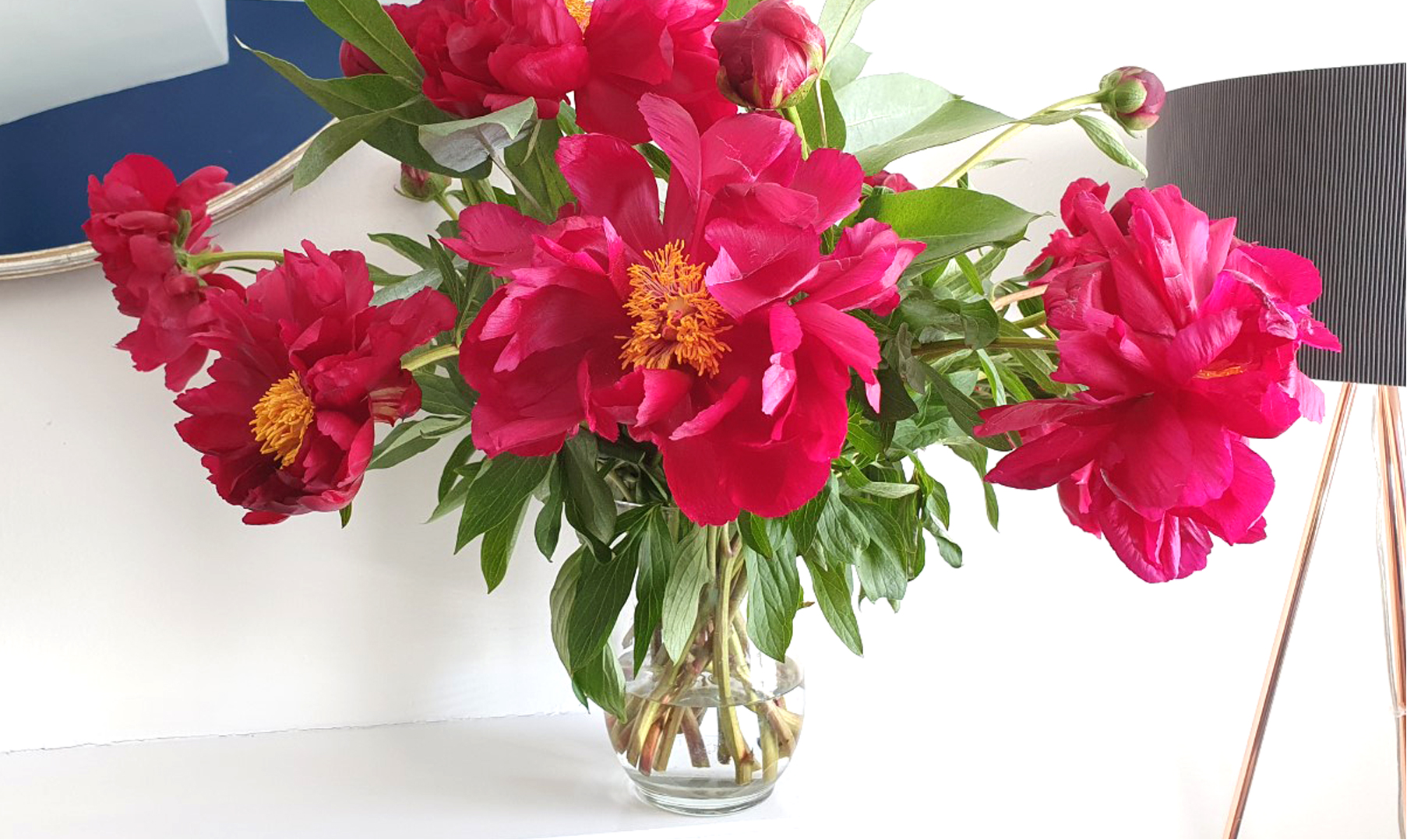 A bright pink vase of peonies