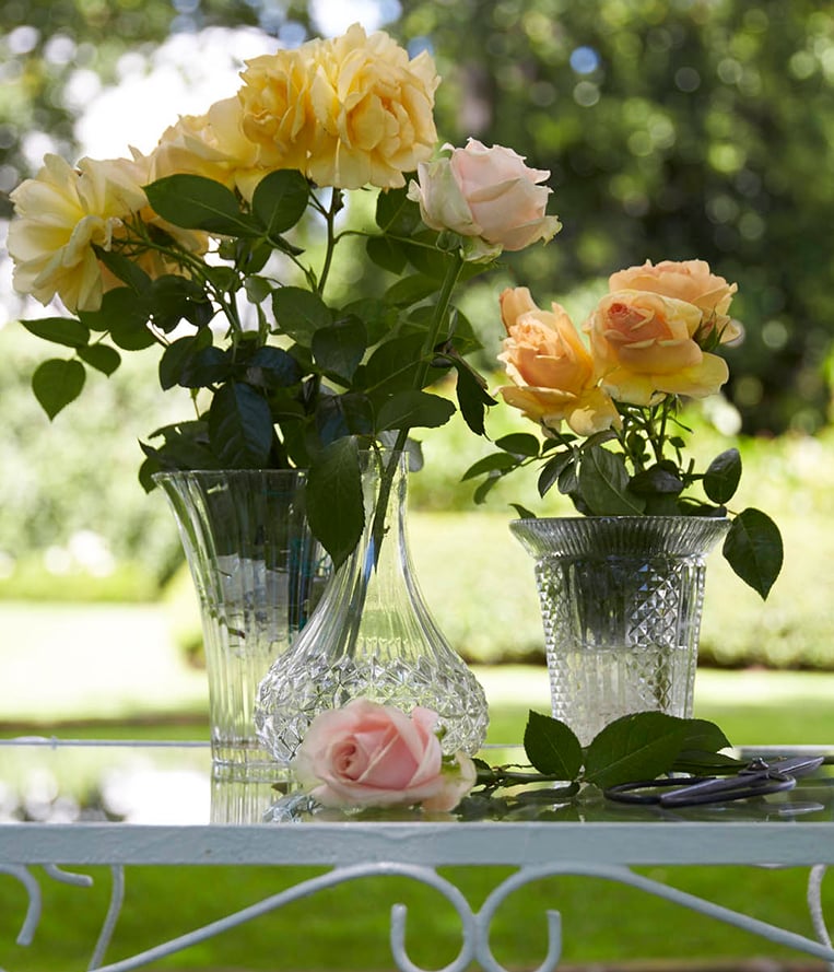 Yellow roses in cut crystal vases