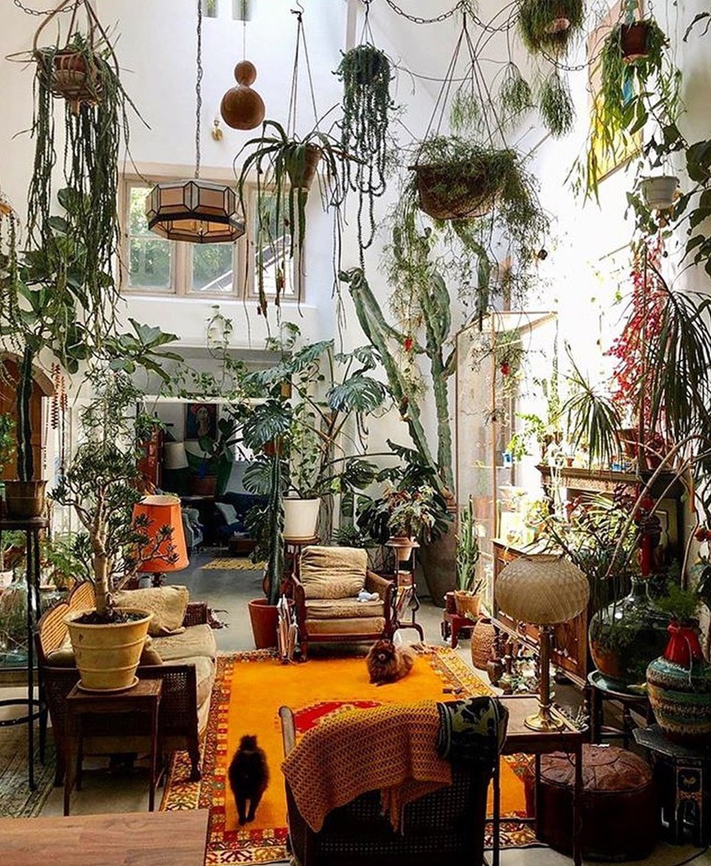 Indoor Plant Goals via @plantsindecor from the conservatory archives. 