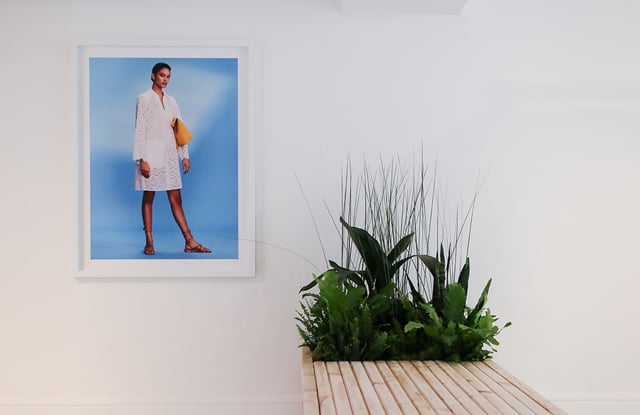 A sophisticated white gallery interior with a bright blue picture next to a bleached wood planter with lush green plants. 