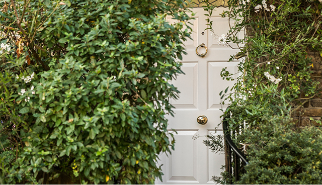 A white front door surrounded by green foliage. 