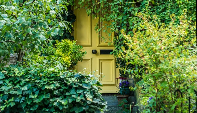 Discover whats behind thi sbright yellow front door and Visit our head of creative brand, rosarie king 