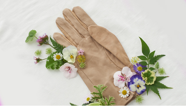 Bringing the outdoors inside wth wildflowers foraged from your garden, styled here with a tan leather gardening glove