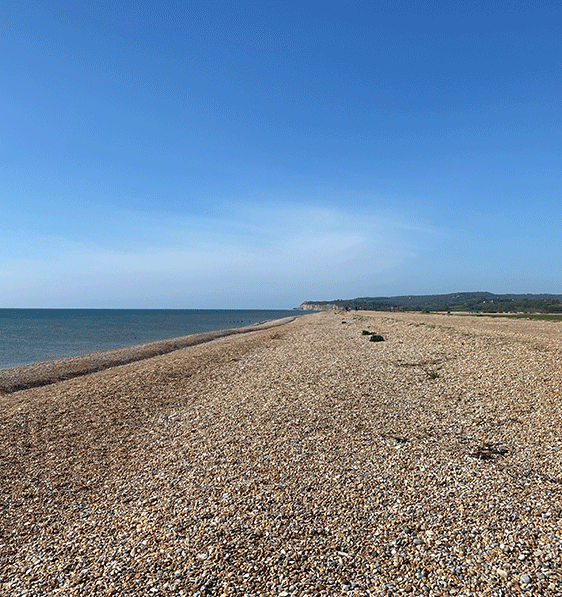 The blue sky and pebbled beach at Winchelsea 