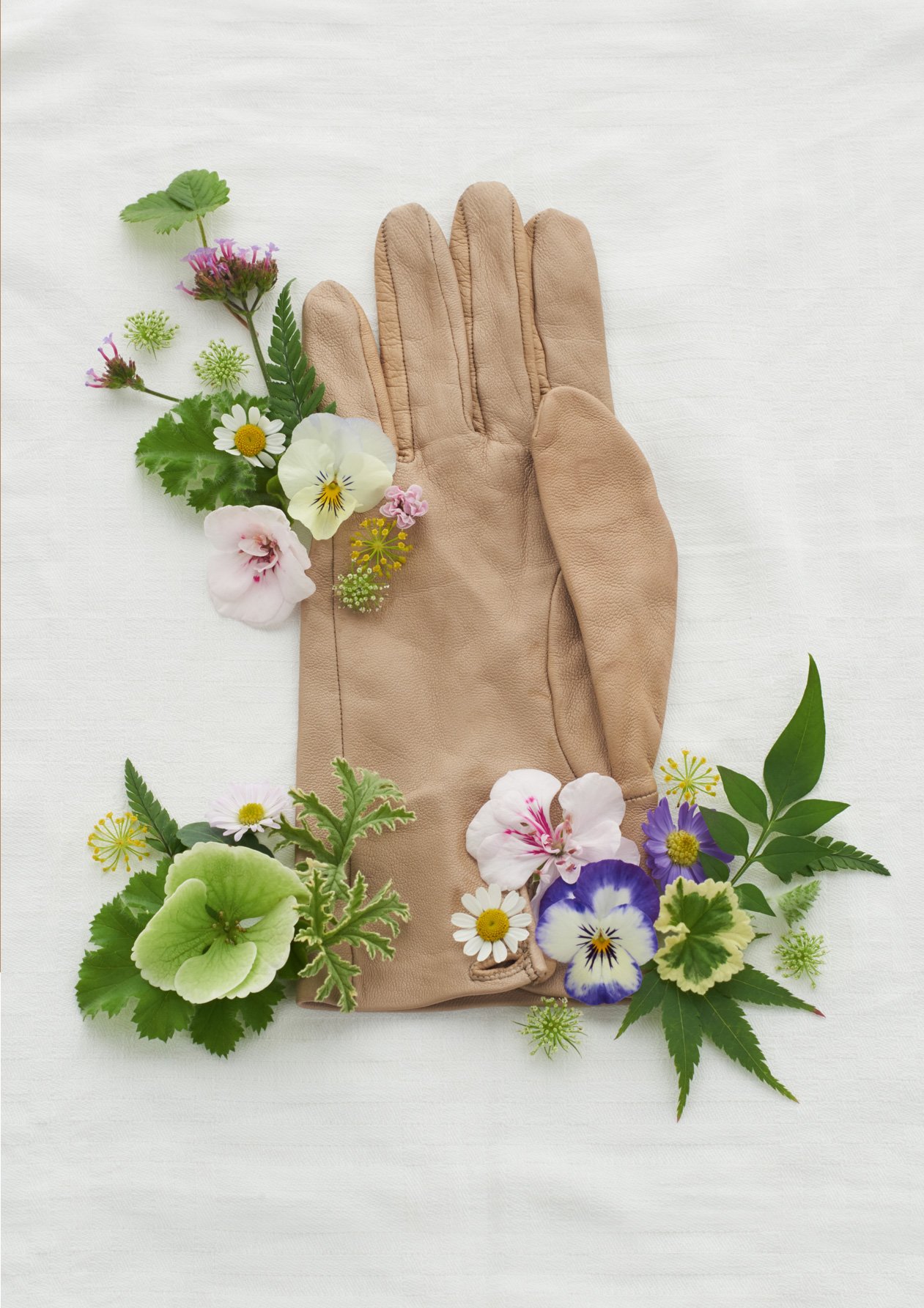 Bringing the outdoors inside wth wildflowers forraged from your garden, styled here with a tan leather gardening glove. 