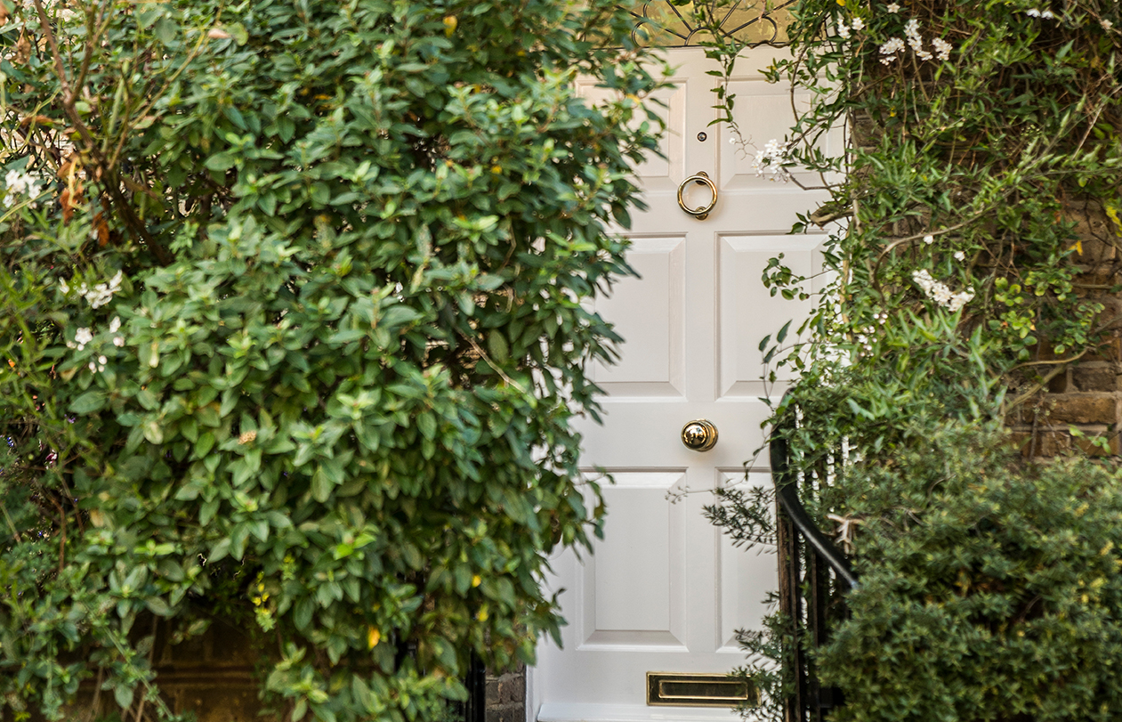 White front door surrounded by green foliage