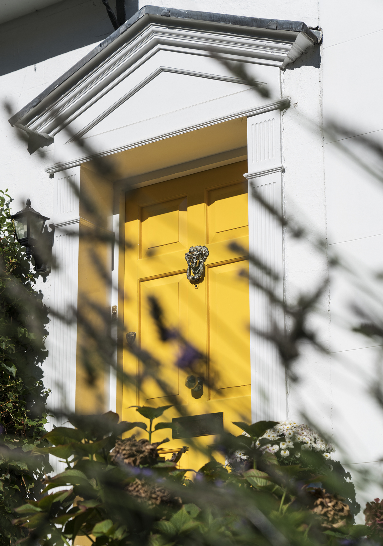 A stately yellow front door with a greco-roman inspired surround.