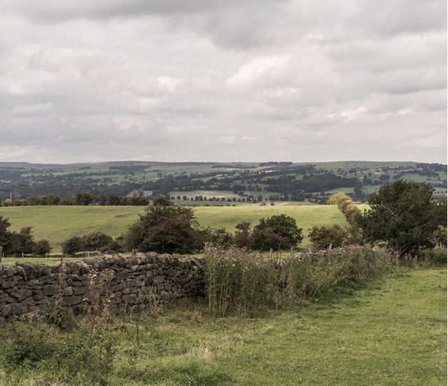 An image of an outdoor field.