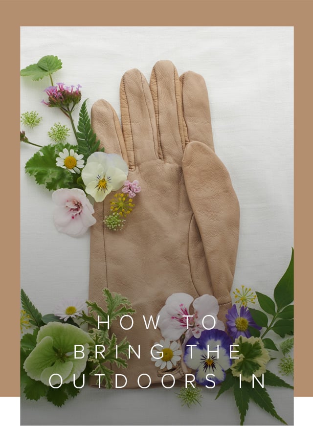 Bringing the outdoors inside wth wildflowers forraged from your garden, styled here with a tan leather gardening glove. 