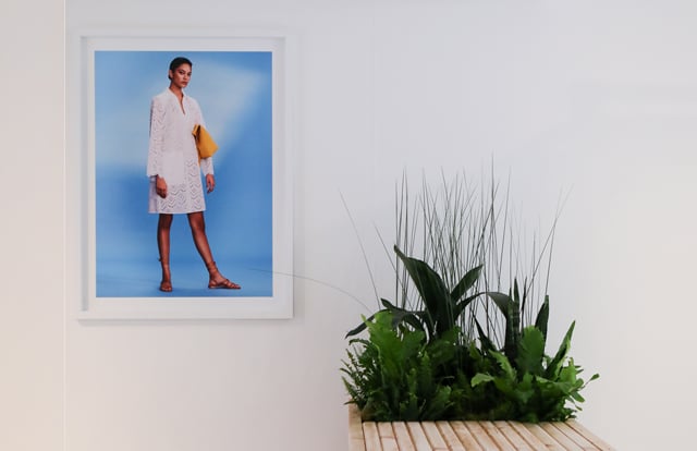 A sophisticated white gallery interior with a bright blue picture next to a bleacher wood planter with lush green plants