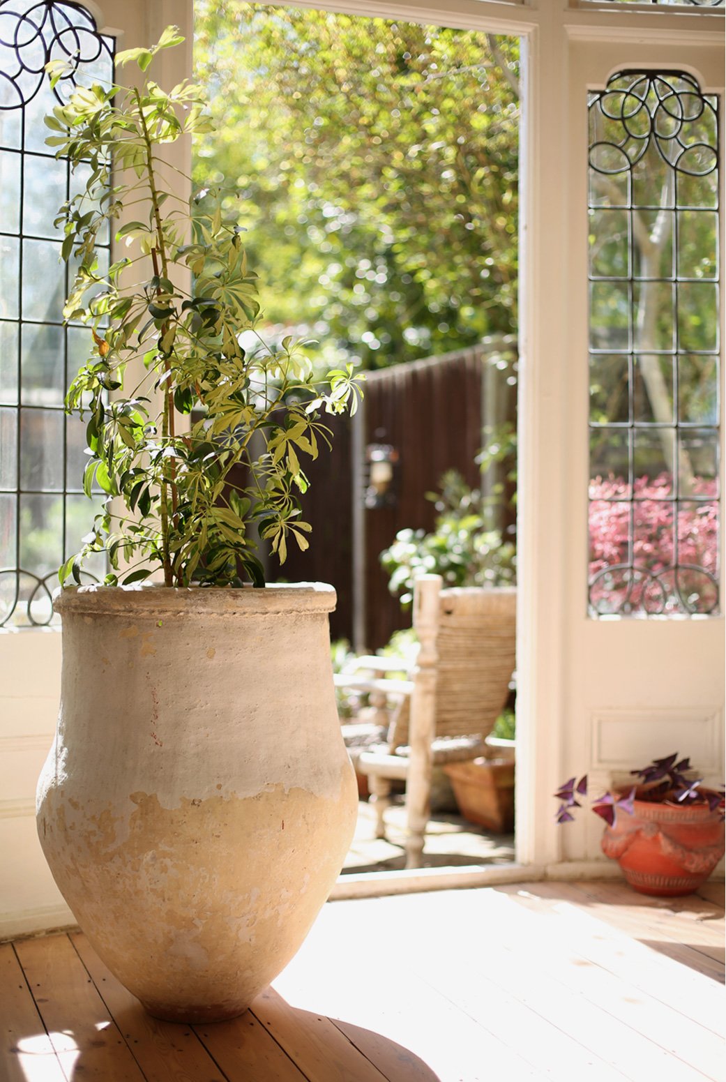 A nineteenth century greek olive jar gives a sense of outside inside whatever the weather.