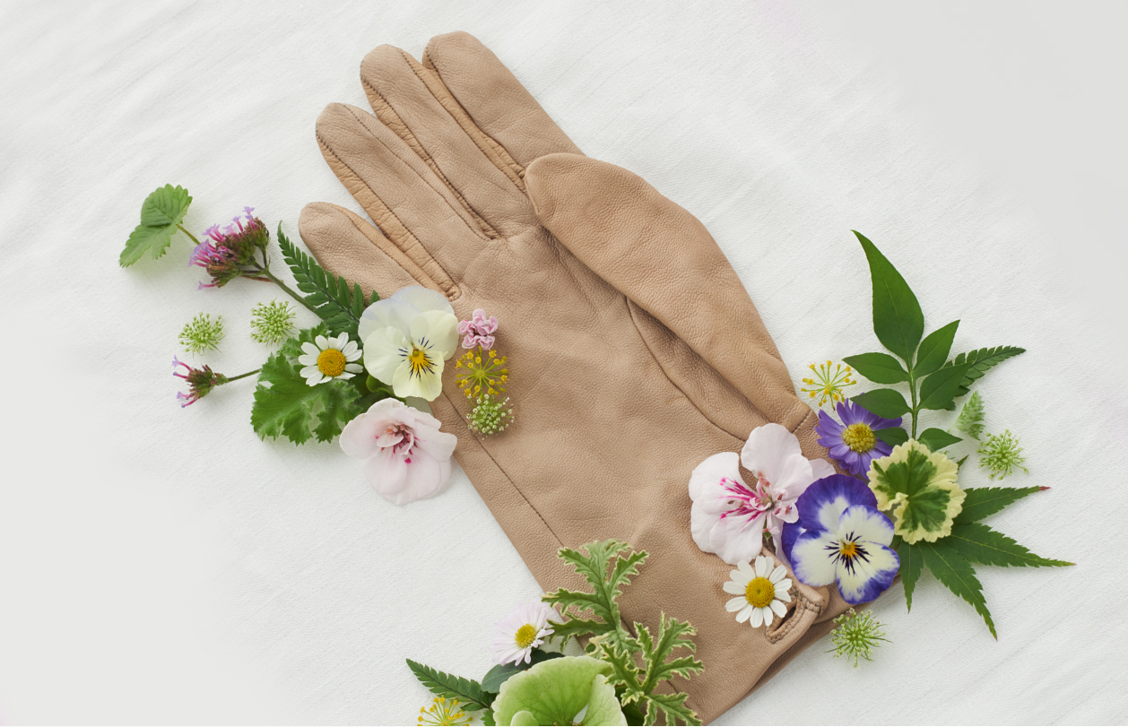 Bringing the outdoors inside wth wildflowers foraged from your garden, styled here with a tan leather gardening glove