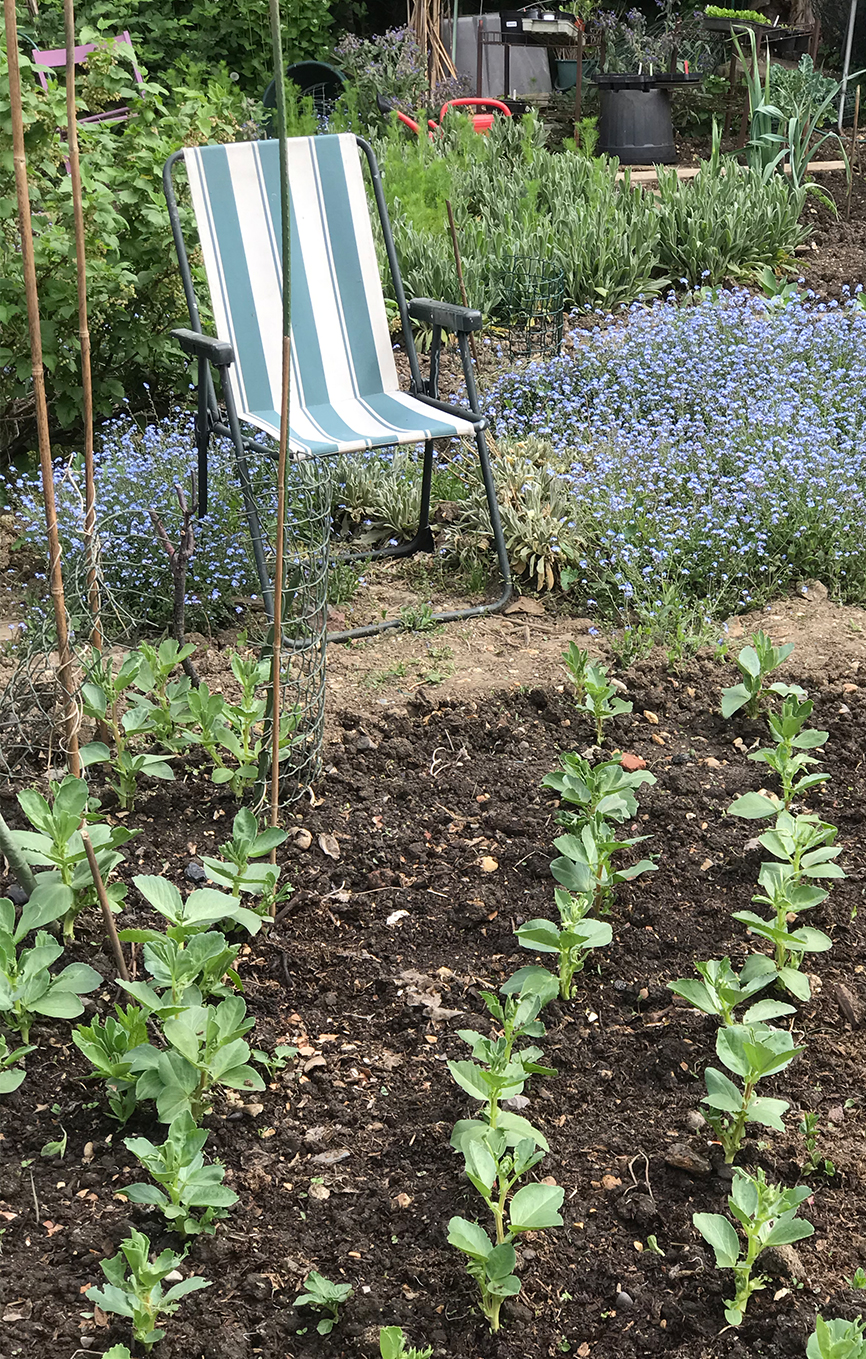 Rosarie's vegetable patch with a deck chair