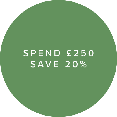 SPEND £250 SAVE 20%