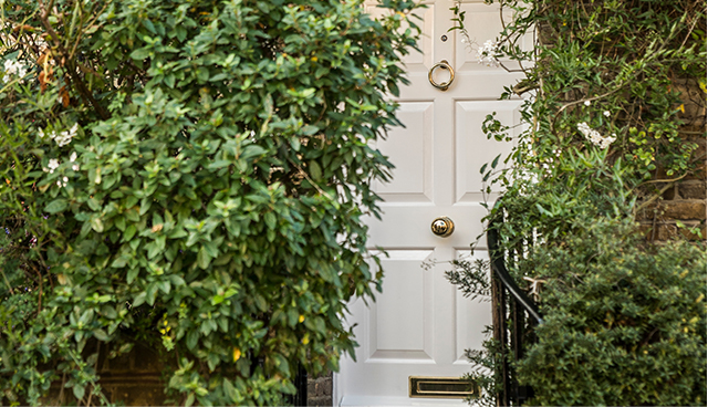 White front door surrounded by green foliage