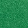 Cilantro Green