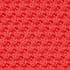 Deep Coral