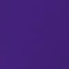 Jewel Purple