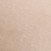 Warm Taupe