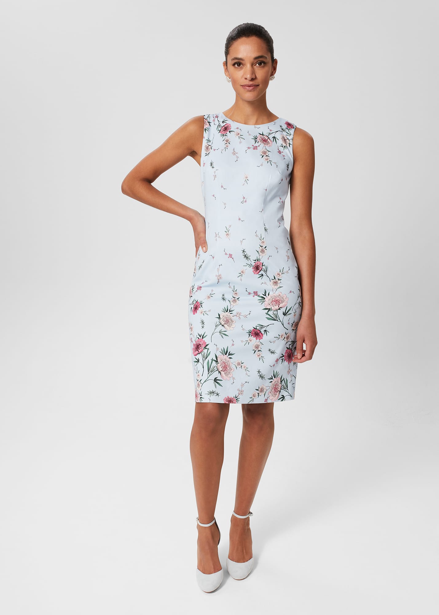 Hobbs Women's Petite Fiona Floral Dress - Pale Blue Multi