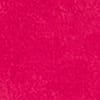 Zinnia Pink
