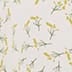 Ivory Multi