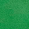 Cilantro Green