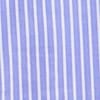 Blue Ivory