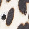 Snow Leopard