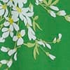Green Ivory