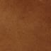 Vicuna