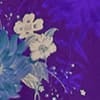 Hyacinth Purple