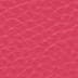 Raspberry Pink