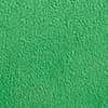 Cilantro Green