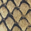 Snakeskin