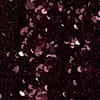 Warm Plum