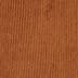 Vicuna