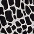 Black Ivory
