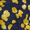 Navy Yellow