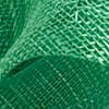 Cilantro Green