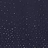 Midnight Navy