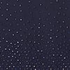 Midnight Navy
