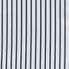 White Navy