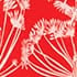 Coral Red Ivory