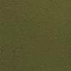Kelp Green