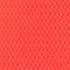 Deep Coral