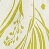 Green Ivory