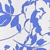 Cream Blue