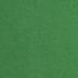 Cilantro Green