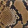 Snakeskin